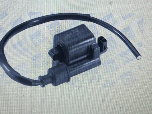 BERU ZS520 004.0100.520 Ignition Coil