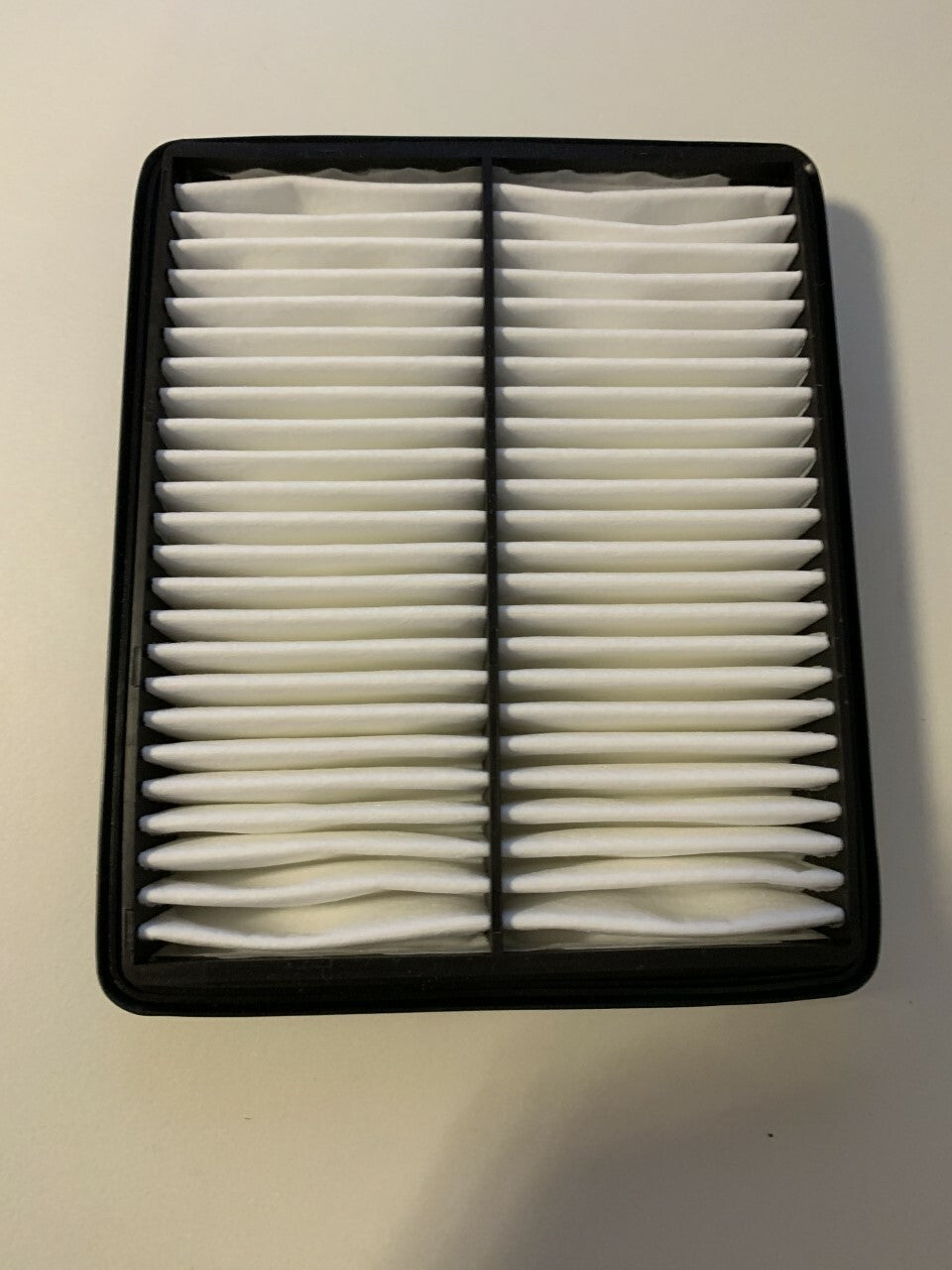 Daewoo Nubira TJ Filters QFA0743 WA6251 Air Filter