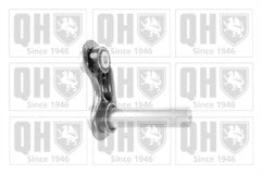 QH QSJ3451S Track Control Arm Rear lower fits BMW